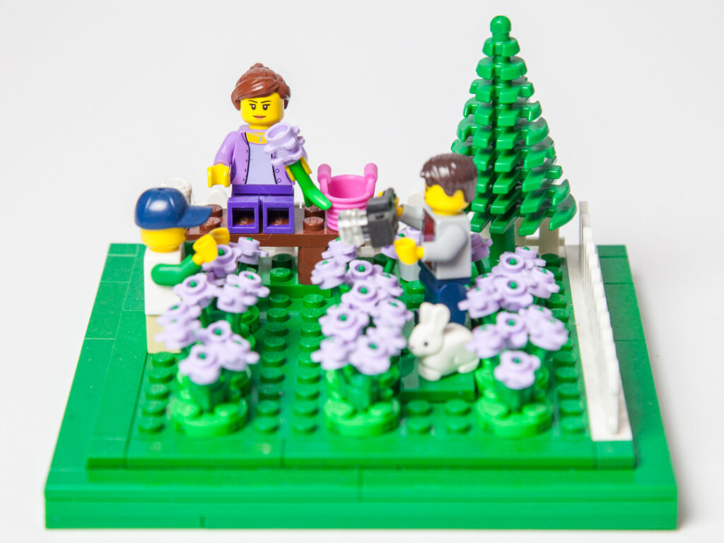 Family fun in the Lego lavender field by Door County Bricks
