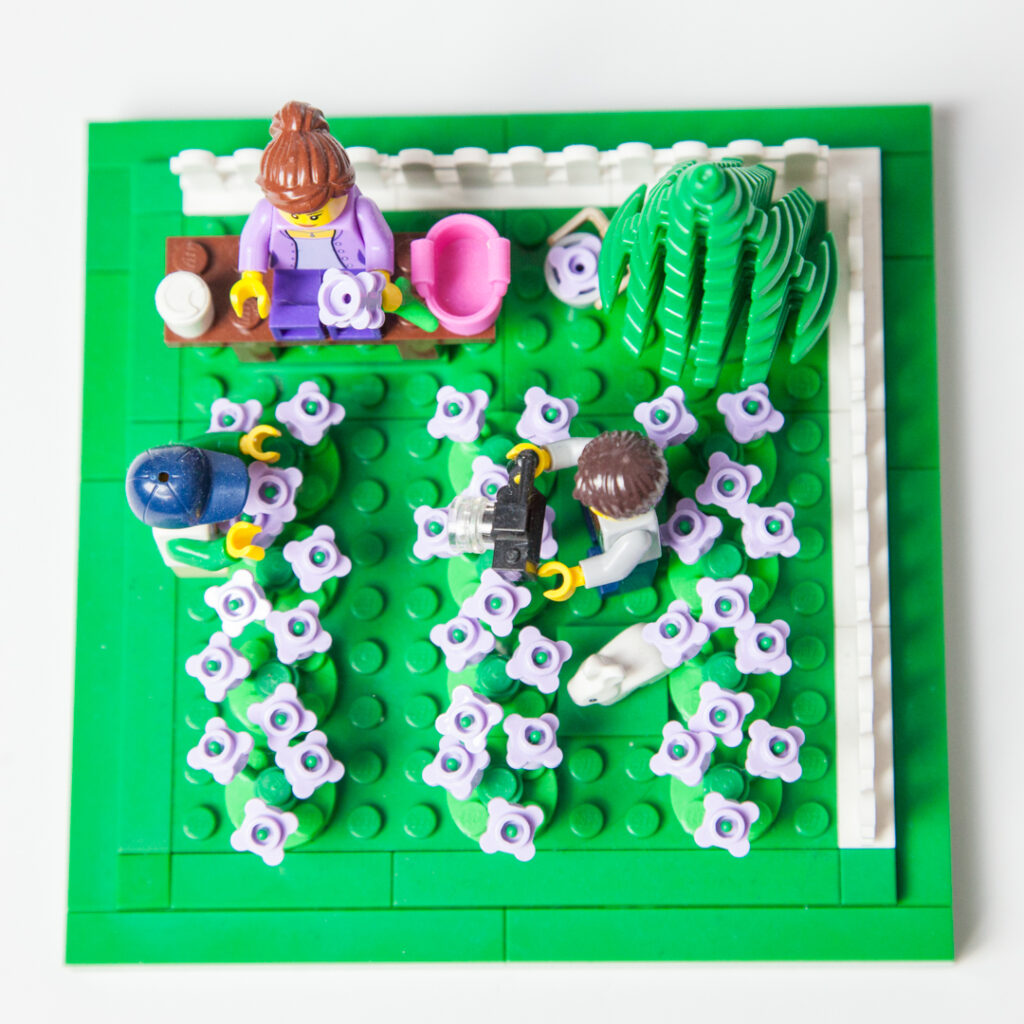 Overhead view of our Lego lavender field by Door County Bricks