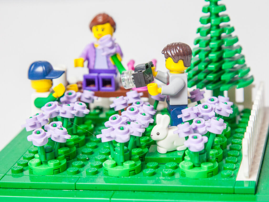 Family fun in the Lego lavender field by Door County Bricks