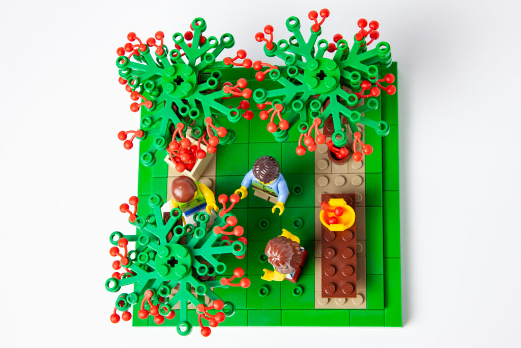 Cherry trees Lego photo by Door County Bricks